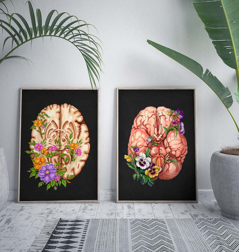 Floral brain anatomy art print - Codex Anatomicus