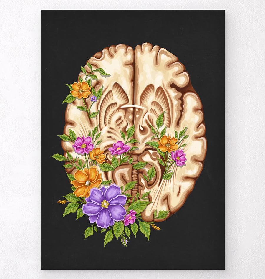 Floral brain anatomy art print - Codex Anatomicus