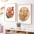 Charger l'image dans la galerie, Brain anatomy poster
