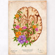 Laden Sie das Bild in den Galerie-Viewer, Vintage brain poster
