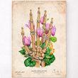 Laden Sie das Bild in den Galerie-Viewer, Vintage anatomy poster - hand anatomy
