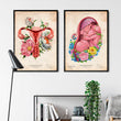 Charger l'image dans la galerie, Anatomie de l'utérus - Floral - Vieux papier
