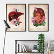 Laden Sie das Bild in den Galerie-Viewer, Kidney and liver anatomy
