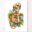 Charger l'image dans la galerie, Skeleton anatomy poster
