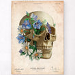 Load image into Gallery viewer, Skull art print

