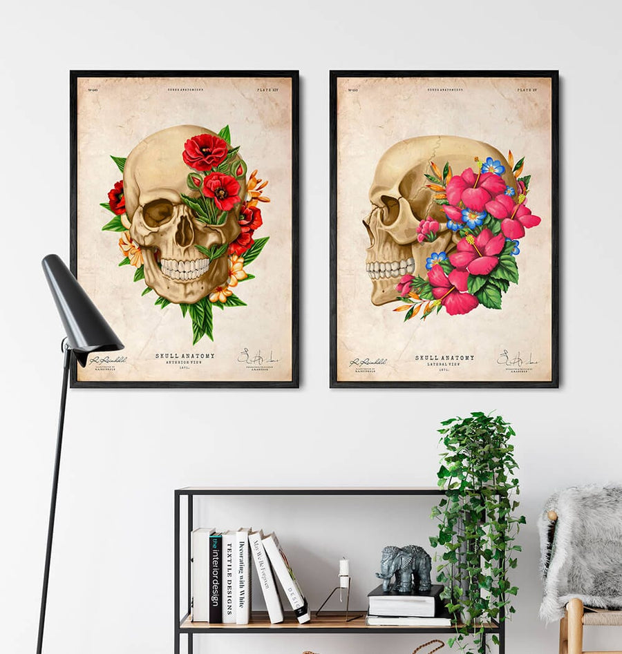 Skull with flowers - Anatomy art print - Codex Anatomicus