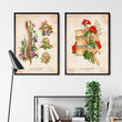 Laden Sie das Bild in den Galerie-Viewer, Wirbelsäulen Anatomie mit Blumen - Vintage
