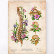 Laden Sie das Bild in den Galerie-Viewer, Spine anatomy poster
