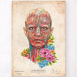 Load image into Gallery viewer, Vintage anatomy poster - Facial muscles
