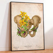 Load image into Gallery viewer, Pelvis anatomy
