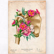 Load image into Gallery viewer, Shoulder - vintage anatomy poster
