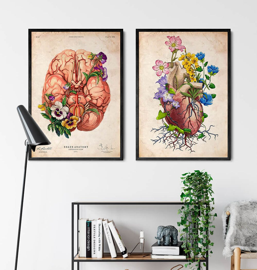 Heart anatomy I - Floral - Vintage – Codex Anatomicus