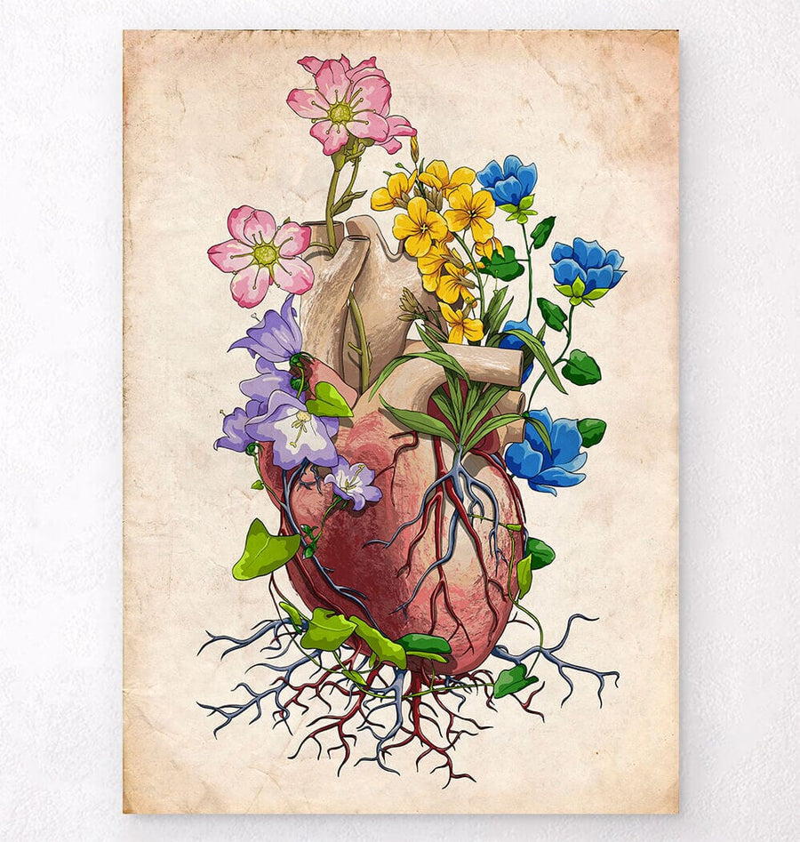 Heart anatomy I - Floral - Vintage – Codex Anatomicus