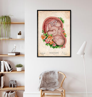 Fetus in a womb anatomy art print – Codex Anatomicus