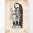 Laden Sie das Bild in den Galerie-Viewer, Baby skeleton poster
