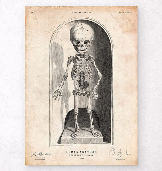 Art Studio「SHOT!」Skeleton Baby LPA702_grande.jpg?v=1673554230