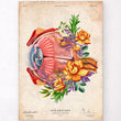 Load image into Gallery viewer, Vintage eye anatomy poster
