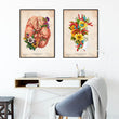 Load image into Gallery viewer, Circle of Willis anatomy poster
