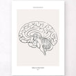 Charger l'image dans la galerie, Sagittal brain view poster
