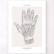 Charger l'image dans la galerie, Hand anatomy art
