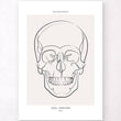 Charger l'image dans la galerie, Skull anatomy poster
