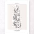 Laden Sie das Bild in den Galerie-Viewer, Foot anatomy poster
