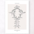 Laden Sie das Bild in den Galerie-Viewer, Circle of Willis anatomy
