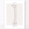 Charger l'image dans la galerie, Femur anatomy art
