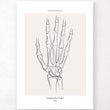 Charger l'image dans la galerie, Hand skeleton anatomy
