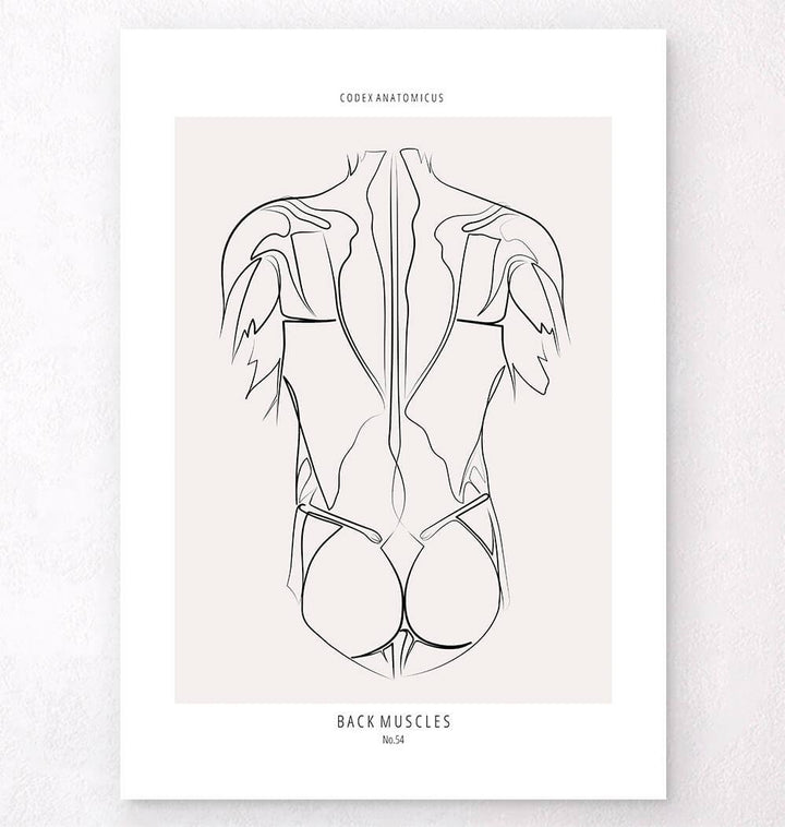 Line Art – Page 2 – Codex Anatomicus