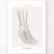 Charger l'image dans la galerie, Ankle anatomy poster
