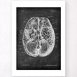 Charger l'image dans la galerie, Brain anatomy art
