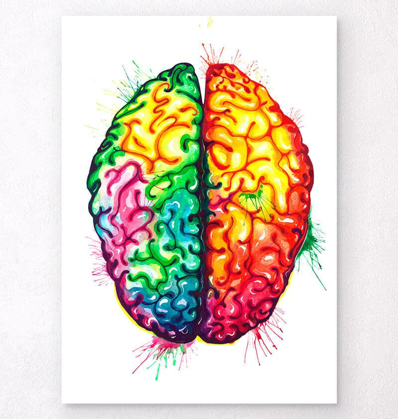 Watercolor brain anatomy art print - Codex Anatomicus
