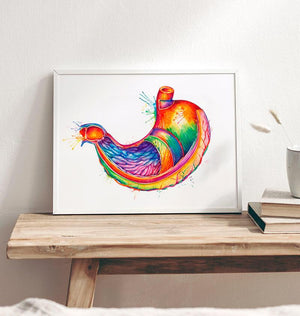 Stomach anatomy art print - Codex Anatomicus