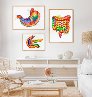 Stomach anatomy art print - Codex Anatomicus